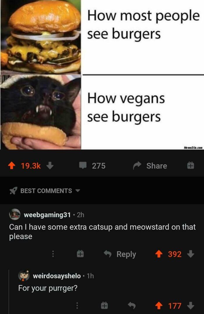 Wait, People Actually Roasted These Innocent Posts?!