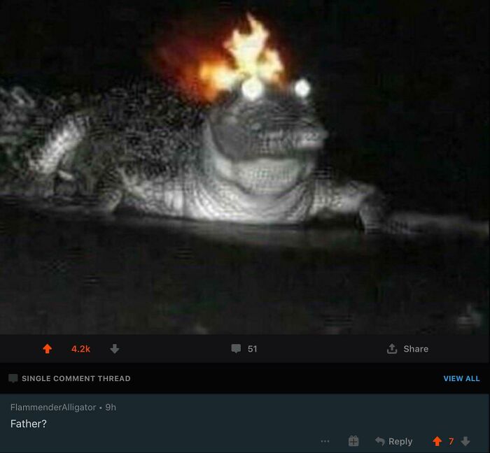Wait, People Actually Roasted These Innocent Posts?!