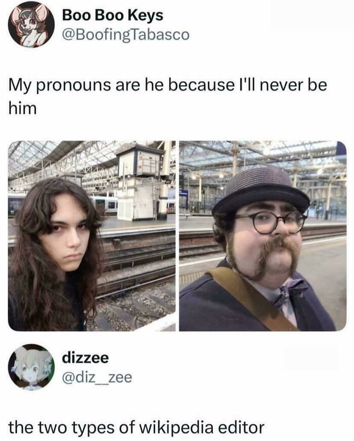 Wait, People Actually Roasted These Innocent Posts?!