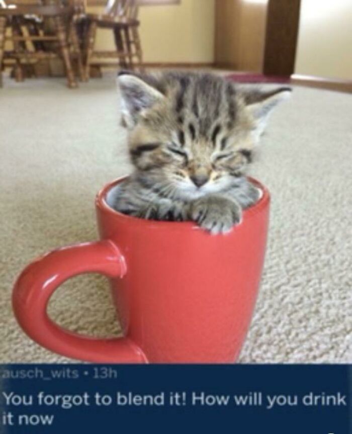 Wait, People Actually Roasted These Innocent Posts?!
