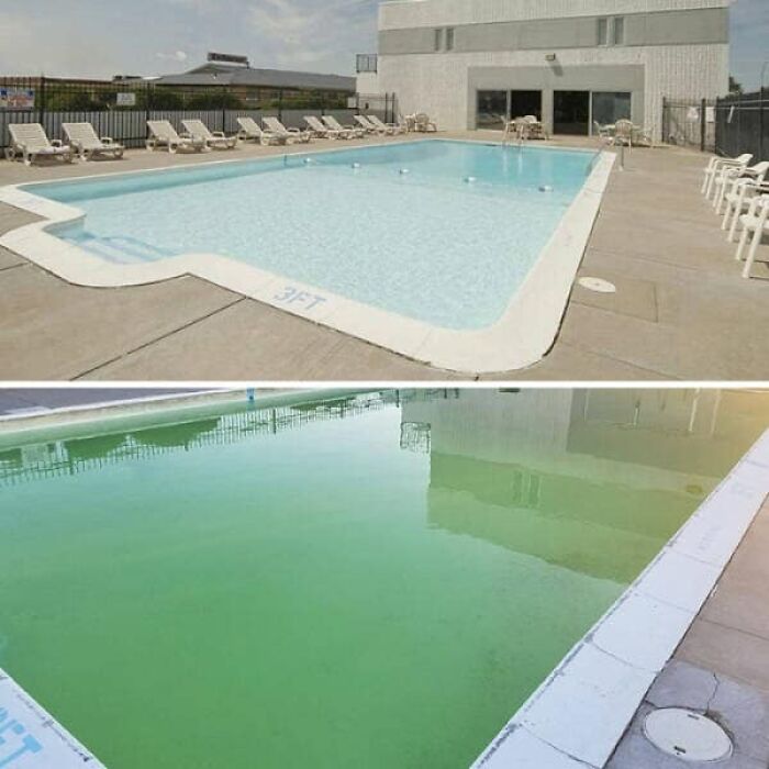 When Airbnb Pics Lie: The Funniest Expectations vs. Reality Fails