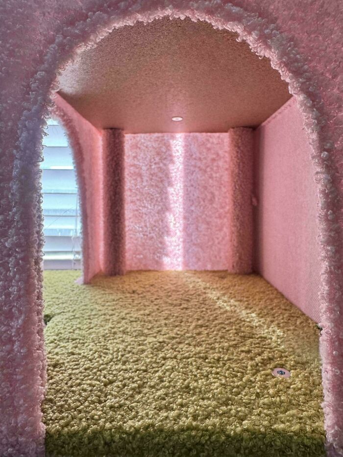 This Cat Tree’s Interior Gave Me Serious Liminal Vibes