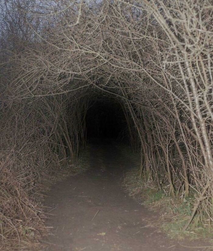 Who Knew Nature Could Look So Liminal?