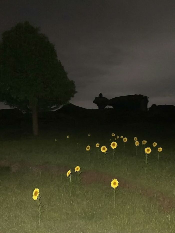 This One Photo = Pure Liminal Energy