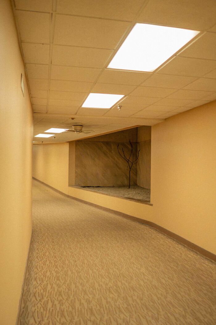 Wrong Elevator Button Took Me To A Creepy Underground Hall