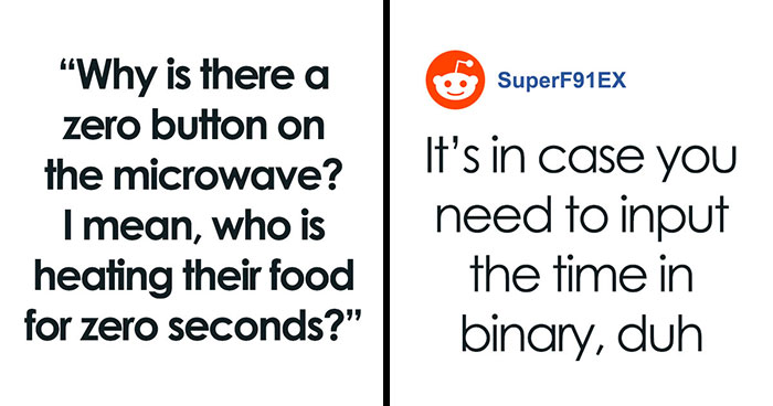 We Asked Weird Questions And Got Even Weirder Answers