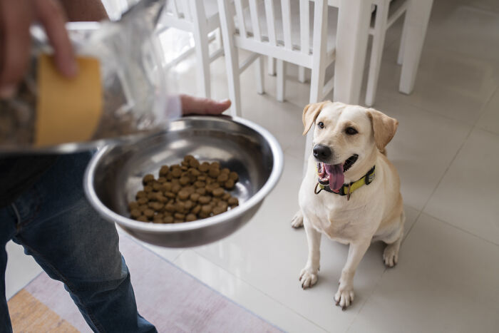 These Family House Rules Are So Weird They’ll Totally Make You Chuckle