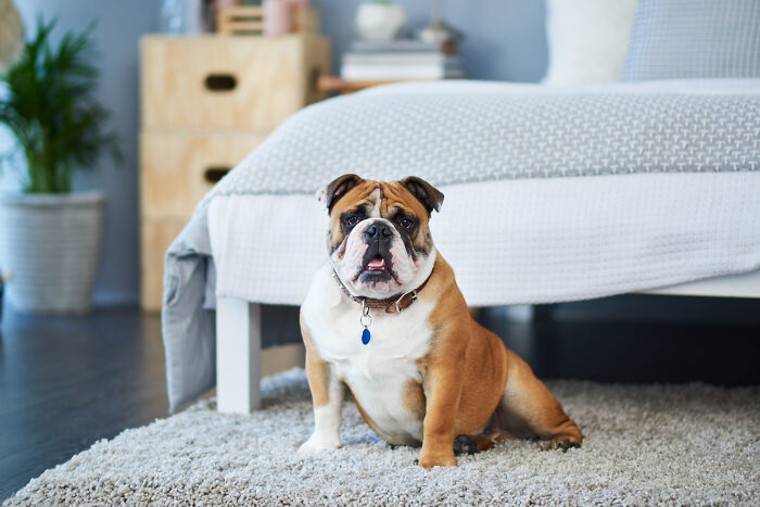 These Family House Rules Are So Weird They’ll Totally Make You Chuckle