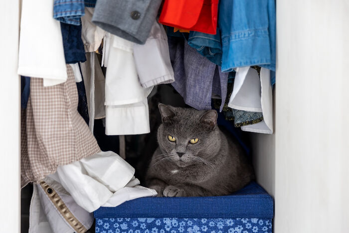 These Family House Rules Are So Weird They’ll Totally Make You Chuckle
