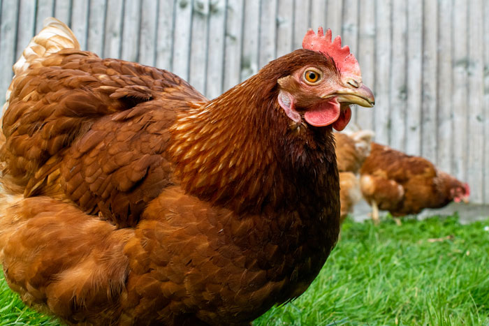 These Family House Rules Are So Weird They’ll Totally Make You Chuckle