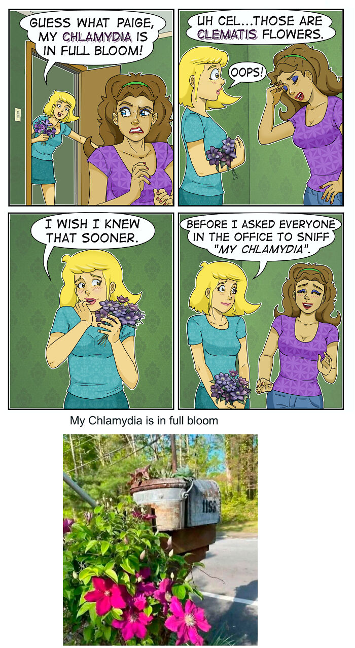 29 Comics That Make Memes Even Funnier (Trust Us, You Need This!)