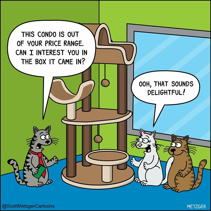 50 Hilarious Comics That Show Cats And Dogs See The World Totally Differently