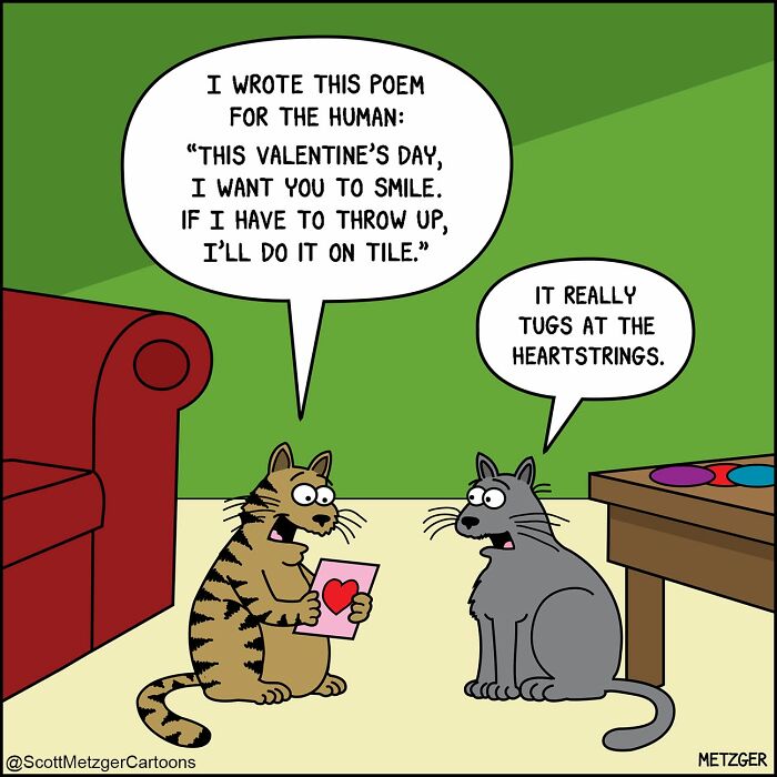 50 Hilarious Comics That Show Cats And Dogs See The World Totally Differently
