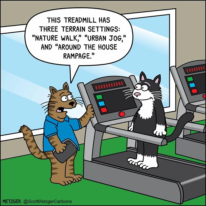 50 Hilarious Comics That Show Cats And Dogs See The World Totally Differently