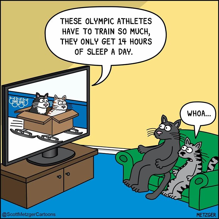 50 Hilarious Comics That Show Cats And Dogs See The World Totally Differently