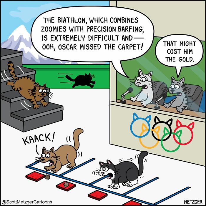 50 Hilarious Comics That Show Cats And Dogs See The World Totally Differently