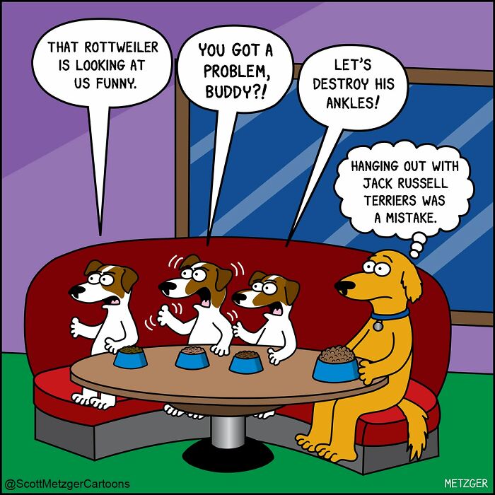 50 Hilarious Comics That Show Cats And Dogs See The World Totally Differently