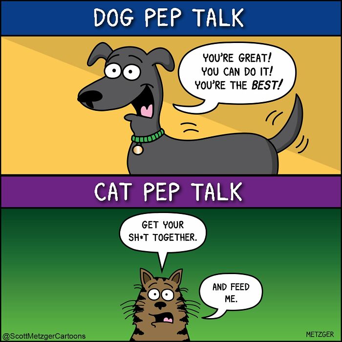 50 Hilarious Comics That Show Cats And Dogs See The World Totally Differently