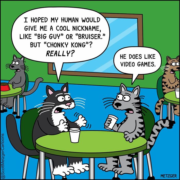 50 Hilarious Comics That Show Cats And Dogs See The World Totally Differently
