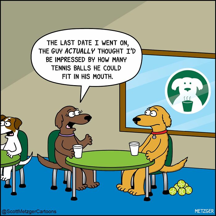 50 Hilarious Comics That Show Cats And Dogs See The World Totally Differently
