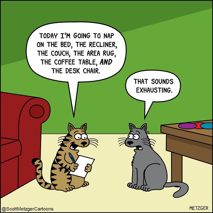 50 Hilarious Comics That Show Cats And Dogs See The World Totally Differently
