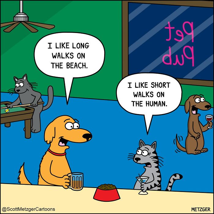 50 Hilarious Comics That Show Cats And Dogs See The World Totally Differently