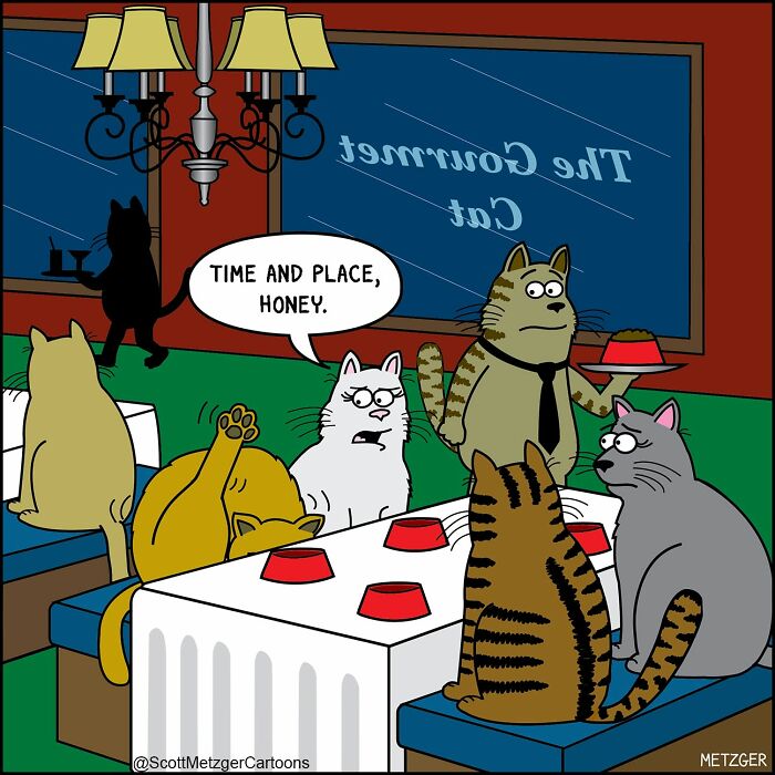 50 Hilarious Comics That Show Cats And Dogs See The World Totally Differently