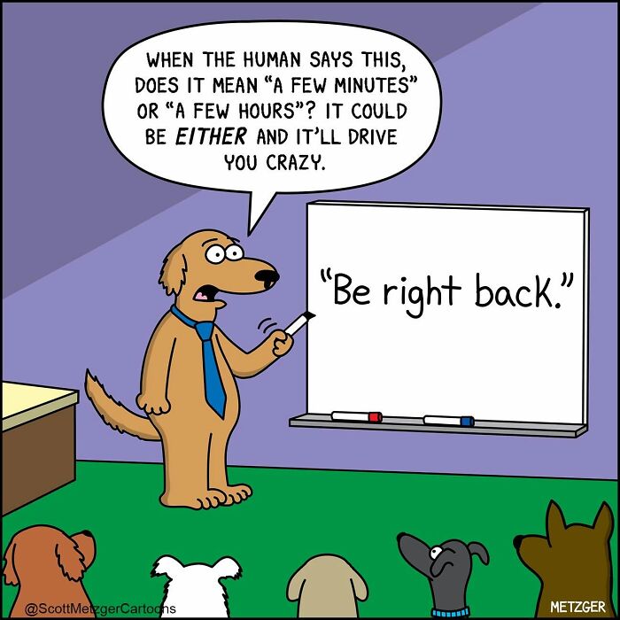 50 Hilarious Comics That Show Cats And Dogs See The World Totally Differently