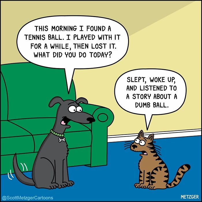 50 Hilarious Comics That Show Cats And Dogs See The World Totally Differently