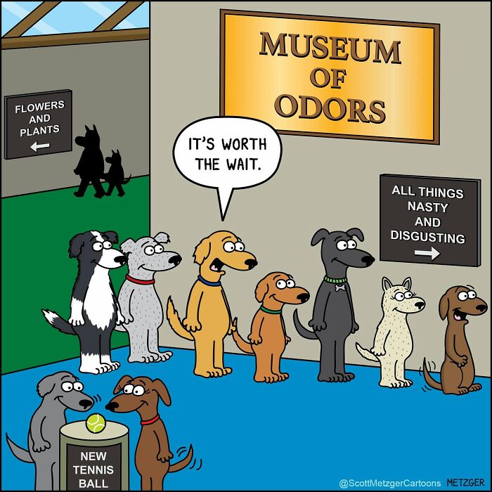 50 Hilarious Comics That Show Cats And Dogs See The World Totally Differently