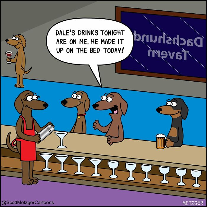 50 Hilarious Comics That Show Cats And Dogs See The World Totally Differently