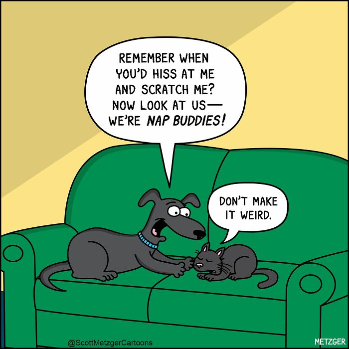 50 Hilarious Comics That Show Cats And Dogs See The World Totally Differently