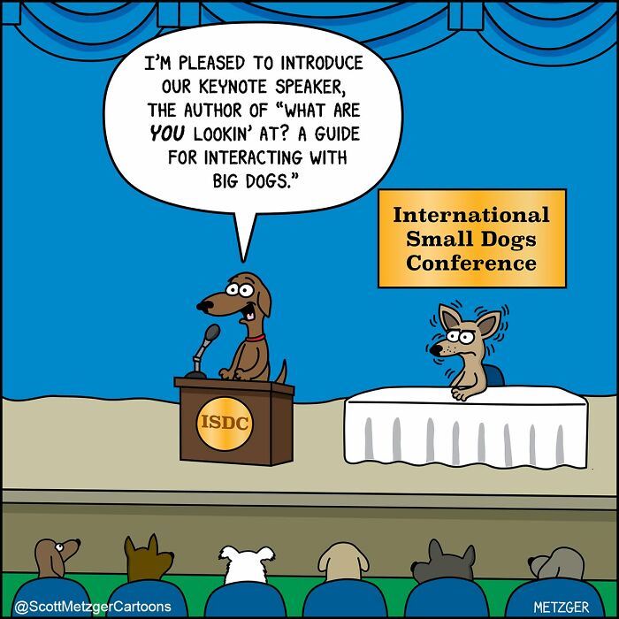 50 Hilarious Comics That Show Cats And Dogs See The World Totally Differently