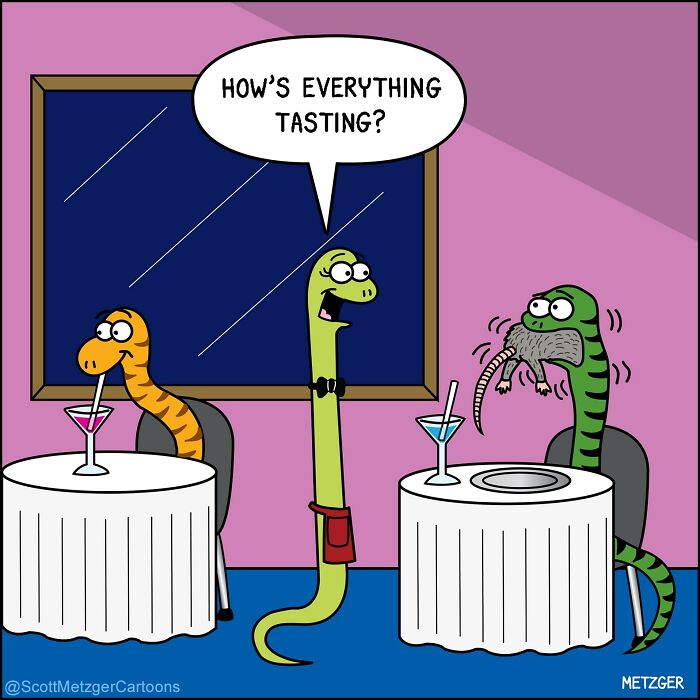 50 Hilarious Comics That Show Cats And Dogs See The World Totally Differently