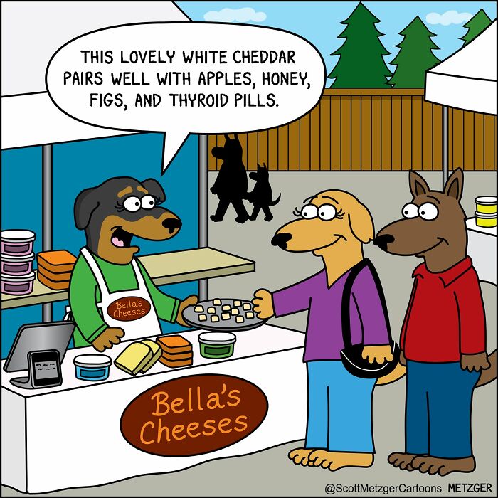 50 Hilarious Comics That Show Cats And Dogs See The World Totally Differently