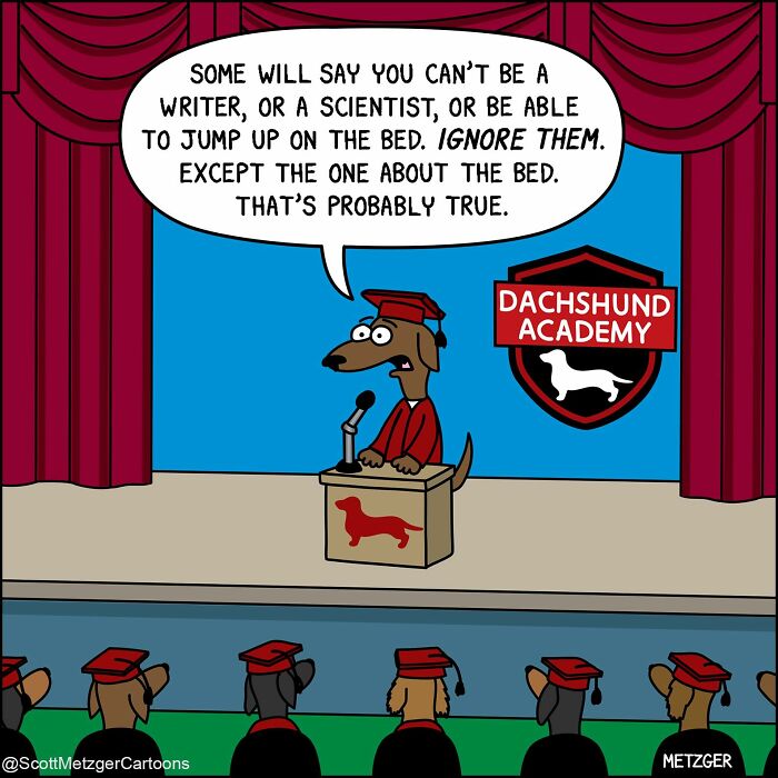 50 Hilarious Comics That Show Cats And Dogs See The World Totally Differently