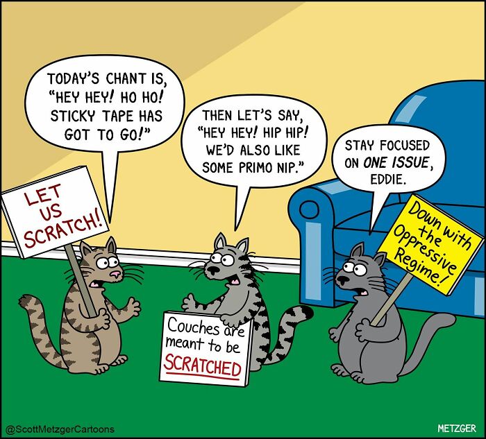 50 Hilarious Comics That Show Cats And Dogs See The World Totally Differently
