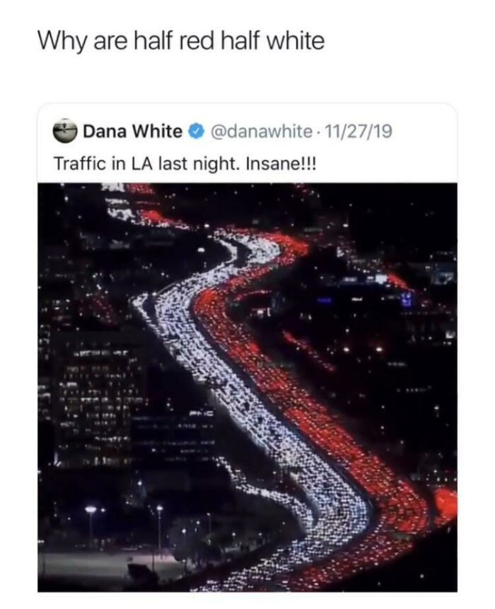 Wait, People Really Did This? The Funniest ‘Why Though?’ Moments
