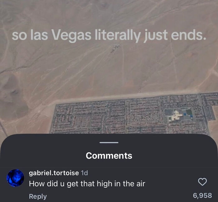 Wait, People Really Did This? The Funniest ‘Why Though?’ Moments