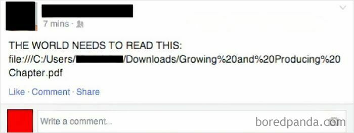 Wait, People Really Did This? The Funniest ‘Why Though?’ Moments