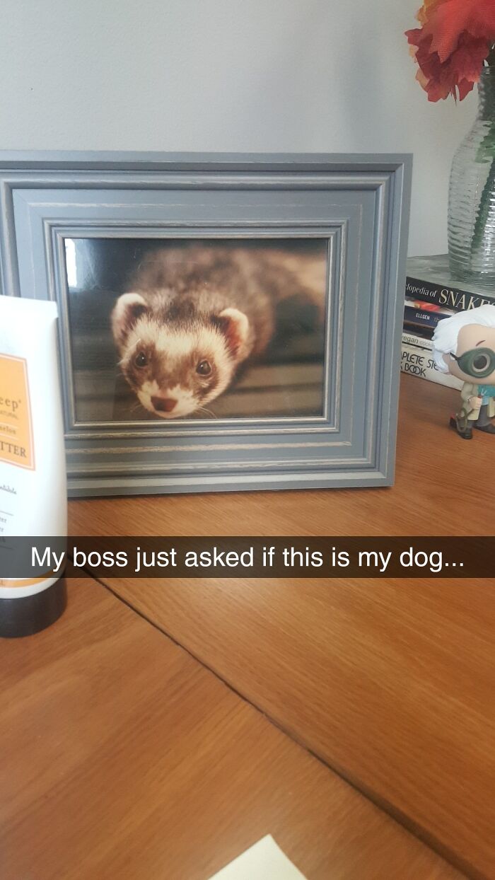 Wait, People Really Did This? The Funniest ‘Why Though?’ Moments