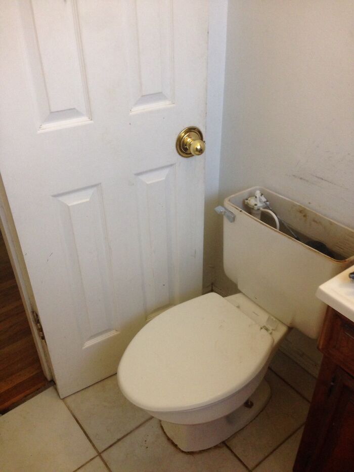 Wait, People Really Did This? The Funniest ‘Why Though?’ Moments