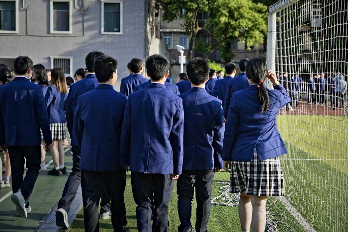 Wait, They Actually Lived Through These Insane School Stories?!