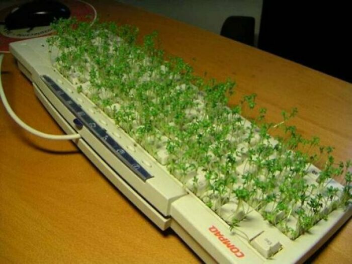 Office Revenge Prank
