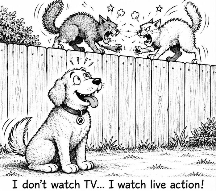 22 Hilarious Comics That Show What Dogs REALLY Think About Us