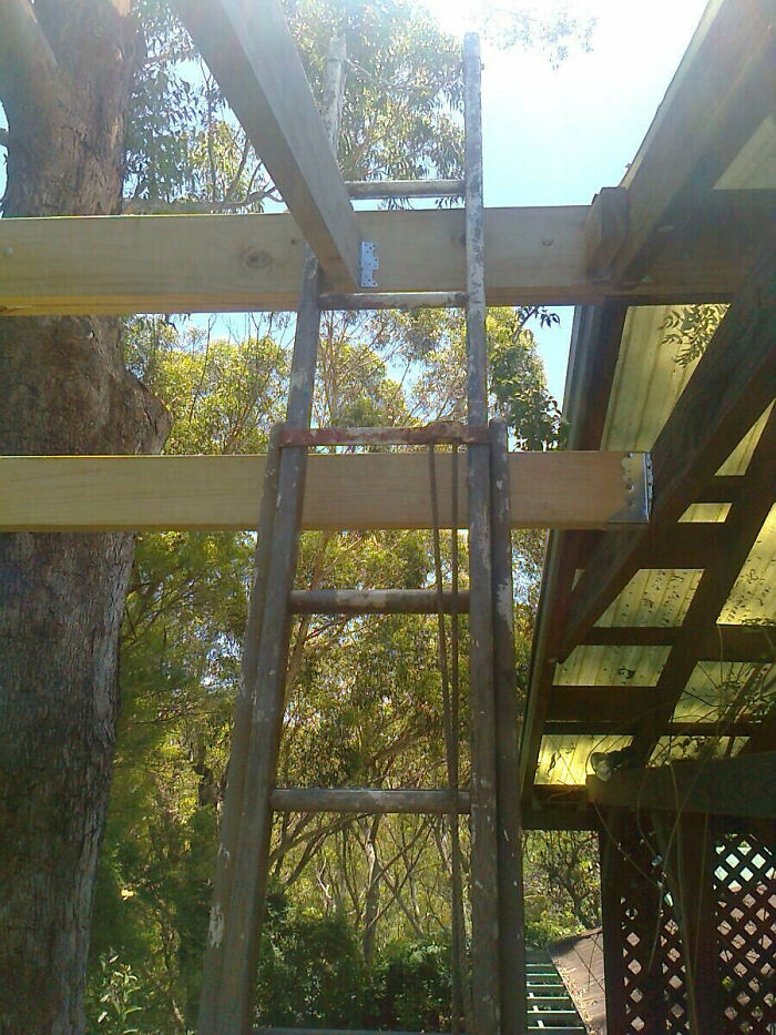 Stairs For The Deck... Fun, They Said