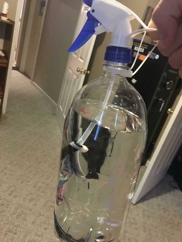 Hold My Hammer! The Most Hilarious DIY Fails Ever