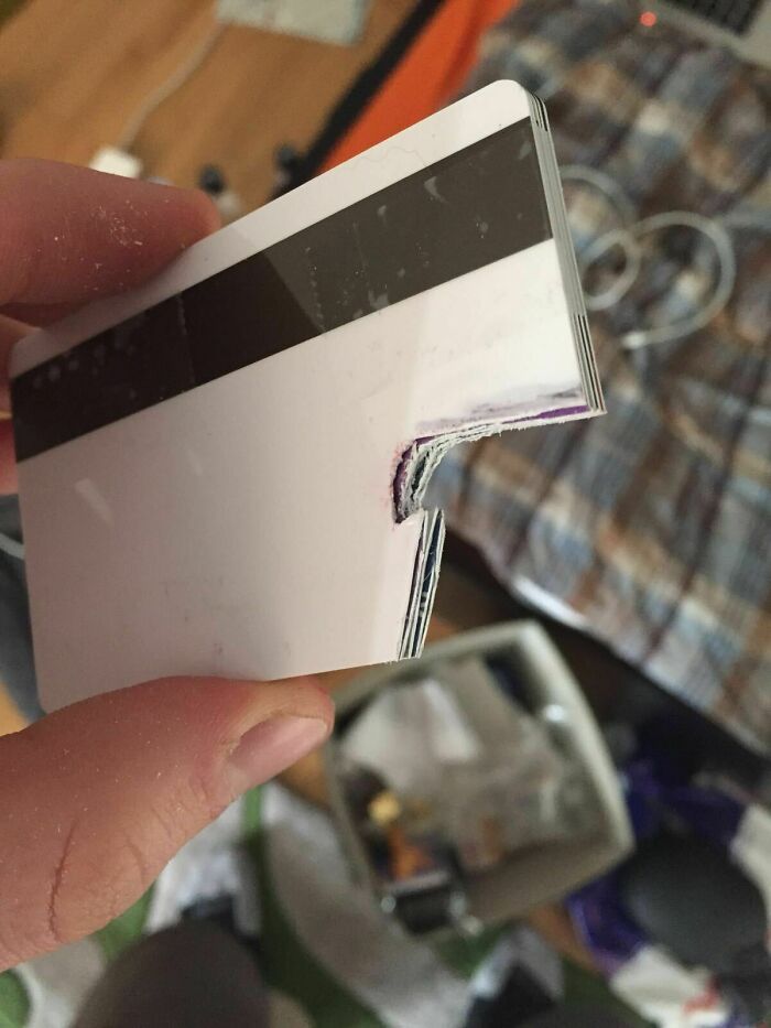 Hold My Hammer! The Most Hilarious DIY Fails Ever