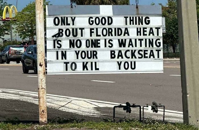 Wait, You Won't Believe These Wild Florida Moments!