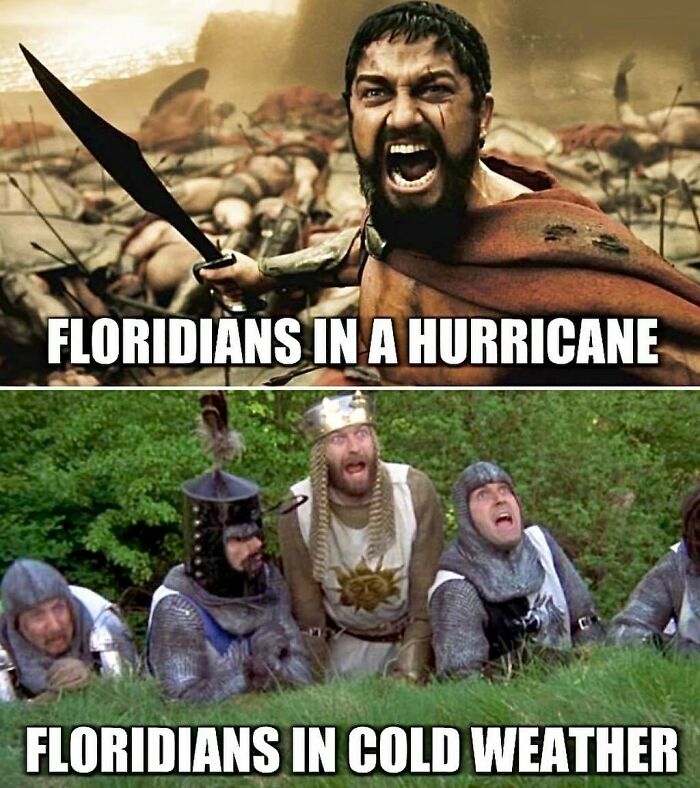 Wait, You Won't Believe These Wild Florida Moments!